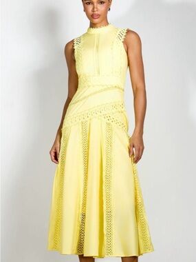 Sunfere Diana embroidered lace sleeveless midi dress
